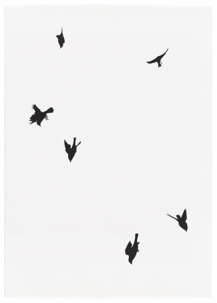 Falling Birds 2024 India ink on paper 41.5 x 29.75 inches