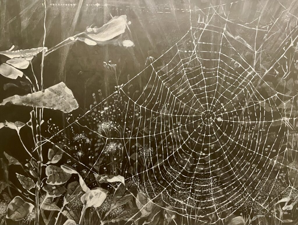 AMELIA HANKIN, Spider Web, mixed media on paper, 22 x 30 inches