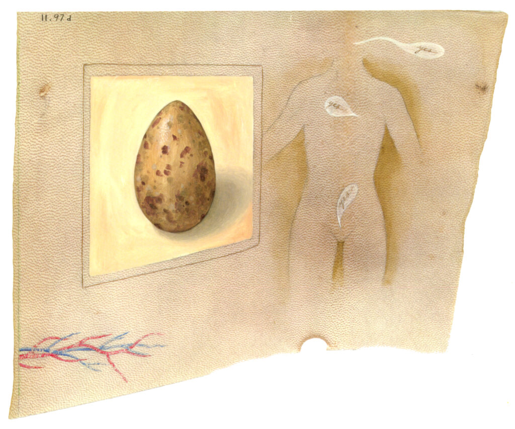 Tabitha Vevers, Transient Anatomies, II.97d, Three Yeses, 1997, Ink and Oil on goatskin vellum, 8 x 9.5 inches