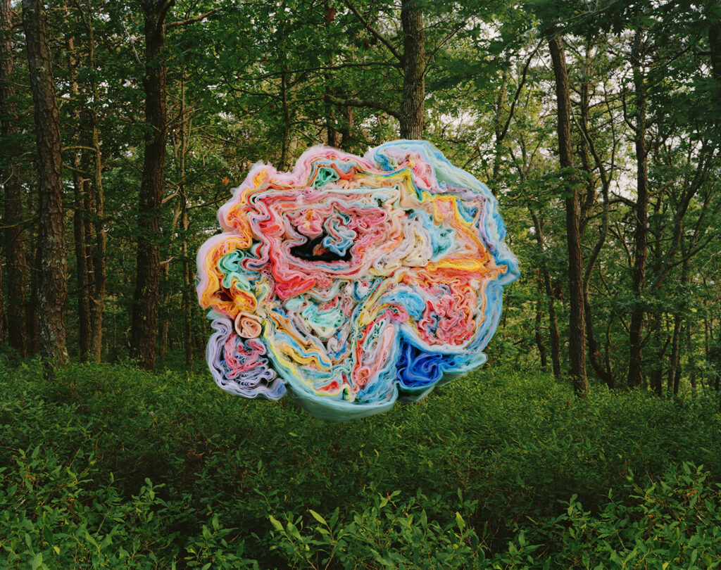 Thomas Jackson, Tulle 61, Archival Pigment Print, various sizes