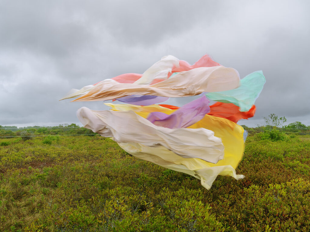 Thomas Jackson, Silk 15, 2025, archival pigment print, 20 x 27, 30 x 40, 48 x 64 inches