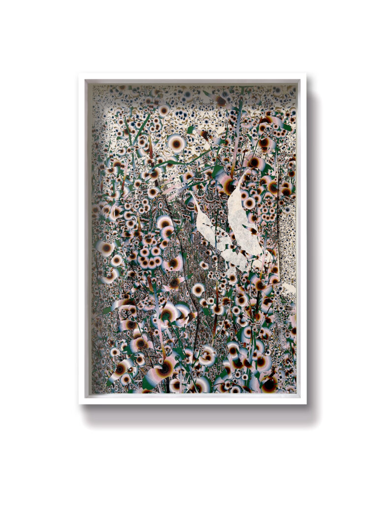 Andy Millner, Thrum (humming-bird) 2026, pigment ink drawing, mulberry paper, linen, wax thread, 30 x 20 inches