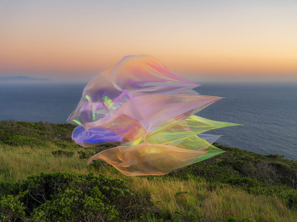 Thomas Jackson, Organza #2, 2026, archival pigment print, 20 x 27 inches, 30 x 40 inches, 48 x 64 inches